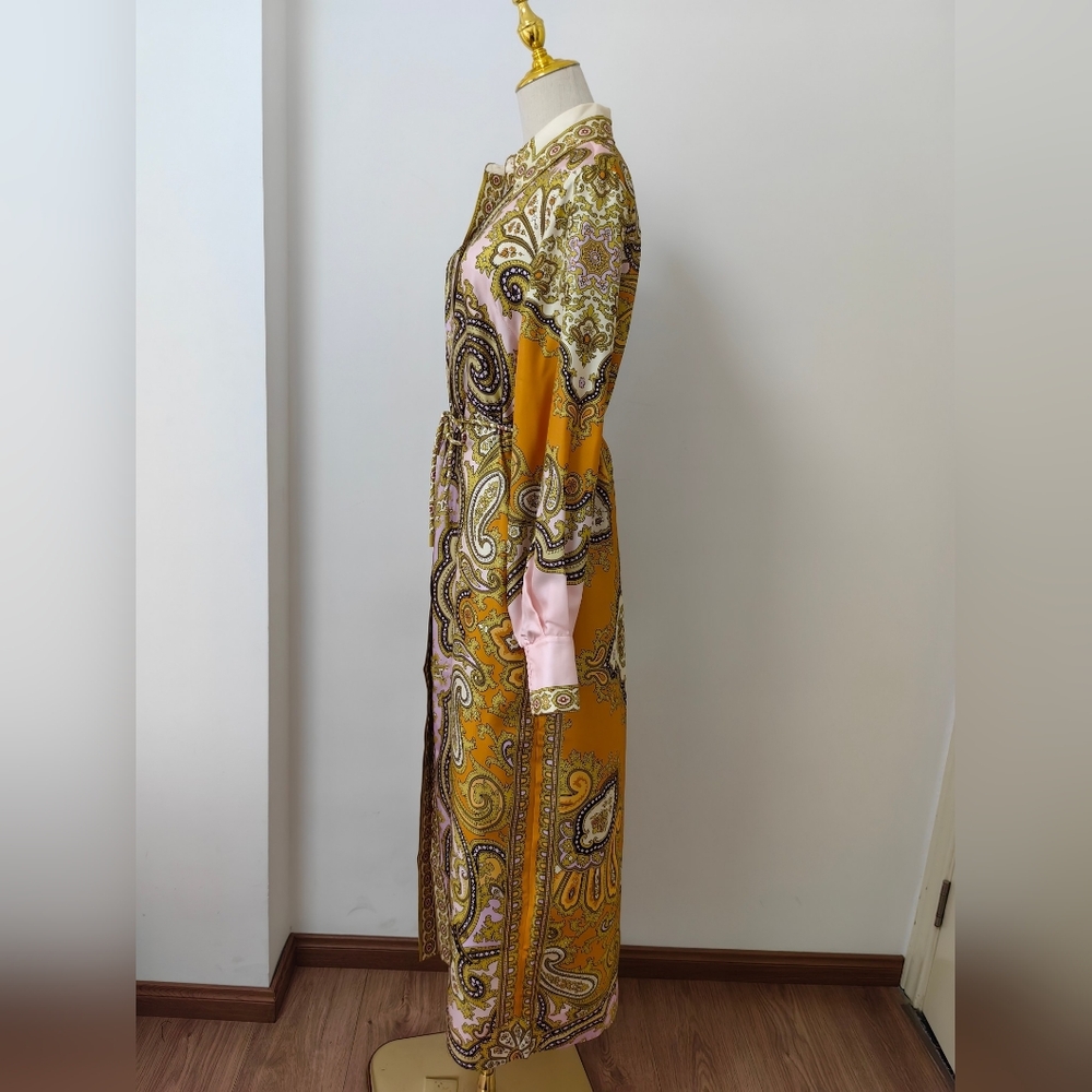 Alemais Clemenza Silk Shirtdress - Mult - Picture 13 of 16
